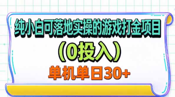 纯小白可落地实操的游戏打金项目(0投入-程拾网络