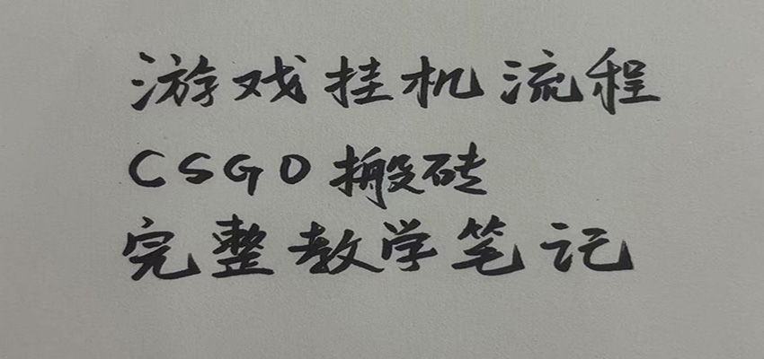 游戏挂机全流程笔记分享，CSGO游戏搬砖，小白看了当天学会见收益-程拾网络
