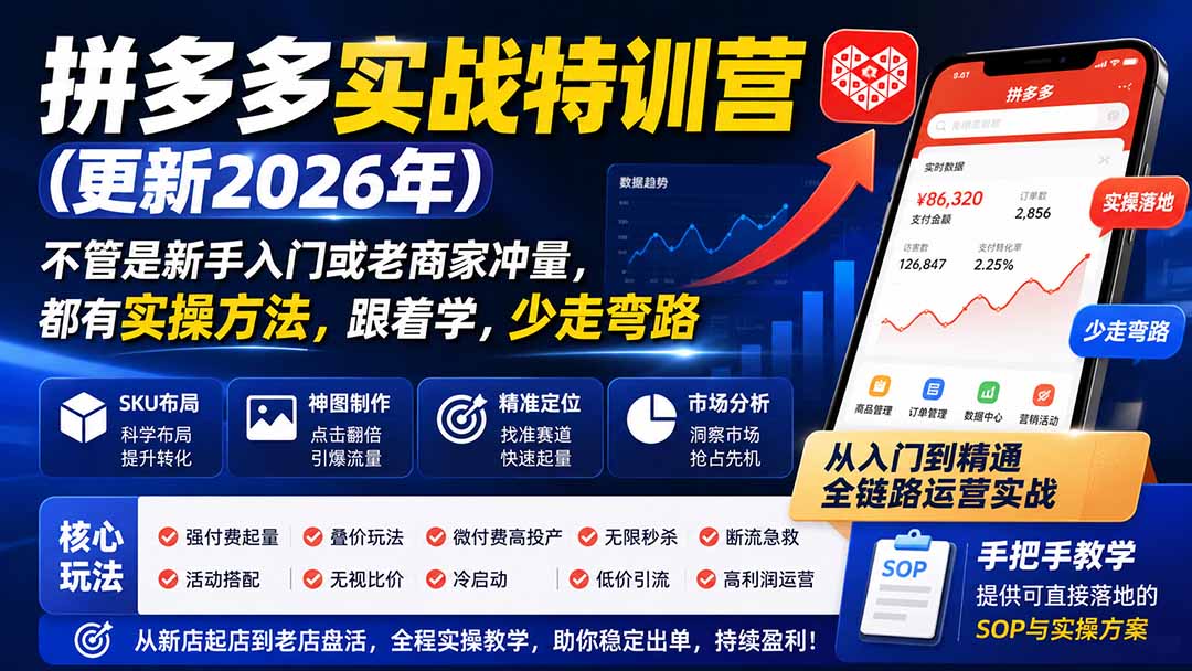 拼多多实战特训营(更新0911-程拾网络