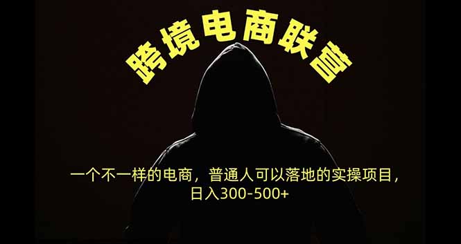 跨境电商联营,一个不一样的电商,普通人可操作日入300-500+-程拾网络