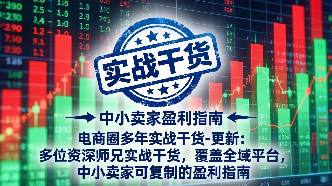 【精】电商圈多年实战干货-更新2026：多位资深师兄实战干货/覆盖全域平台，中小卖家可复制的盈利指南-程拾网络